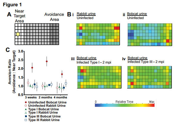 Toxoplasma, Cat Piss And Mouse Brains: My Lab’s First Paper On Microbial Manipulation Of Animal Behavior